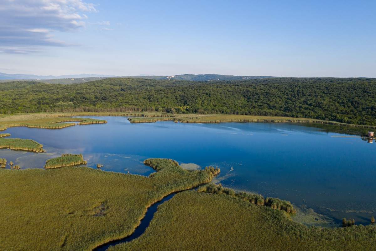 untouched nature of the Lake near Njivice